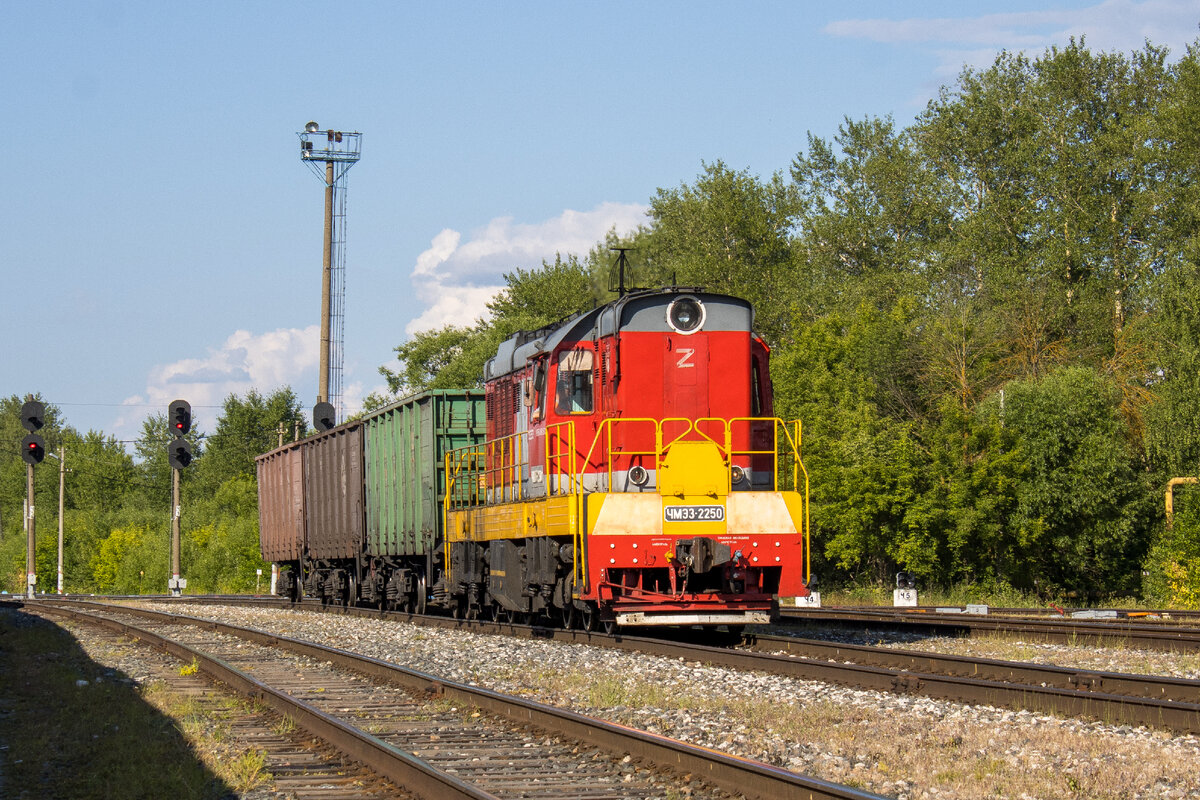 Тепловоз ЧМЭ3-2250 с вывозным грузовым поездом, ст. Кольчугино. 