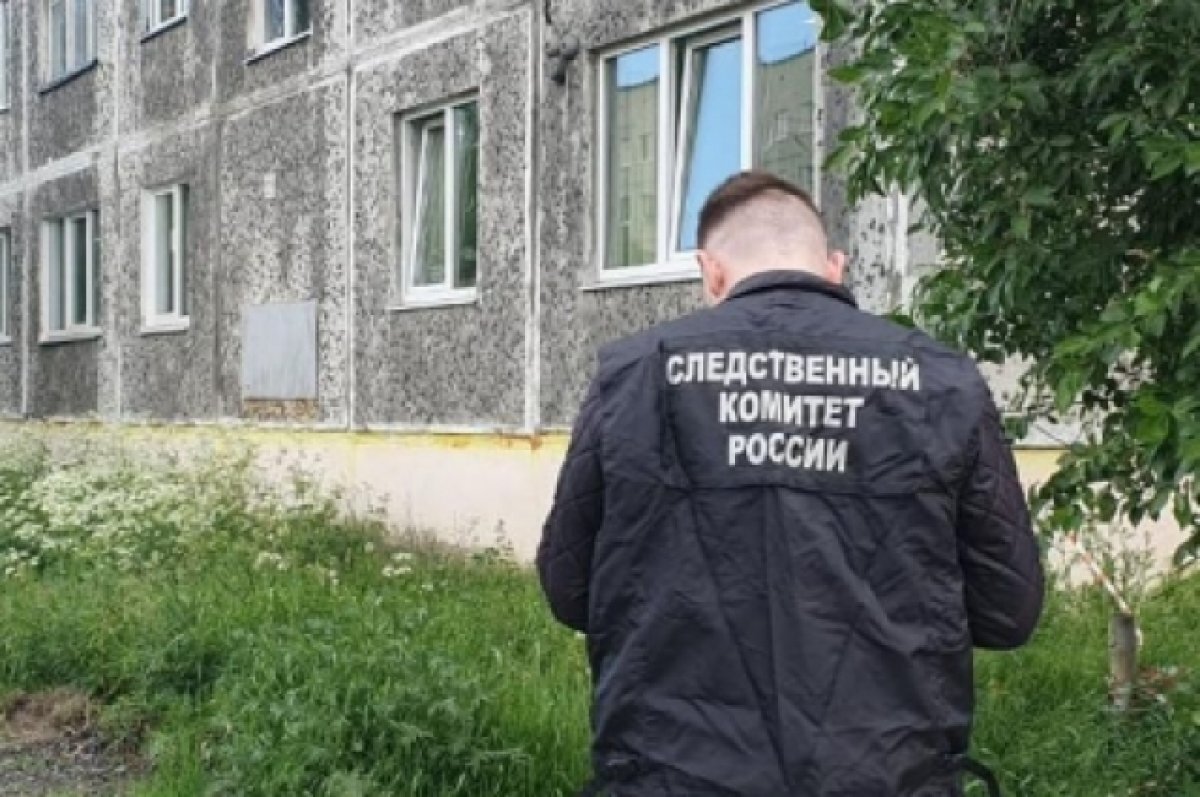    Девочка упала из окна в Ковдоре Мурманской области