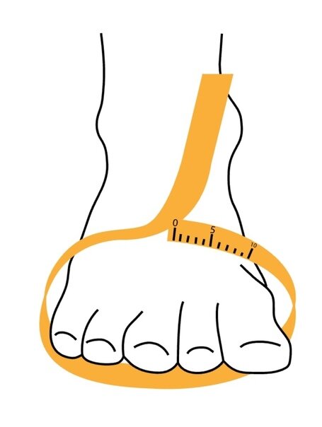 Правильное положение сантиметровой ленты при снятии обхвата пучков