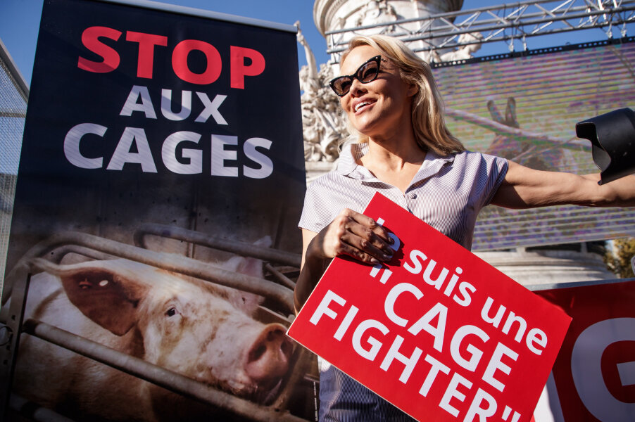 Памела Андерсон на акции организации «Compassion in World Farming» против разведения животных и птиц в клетках. Фото: CHRISTOPHE PETIT TESSON / EPA / TASS