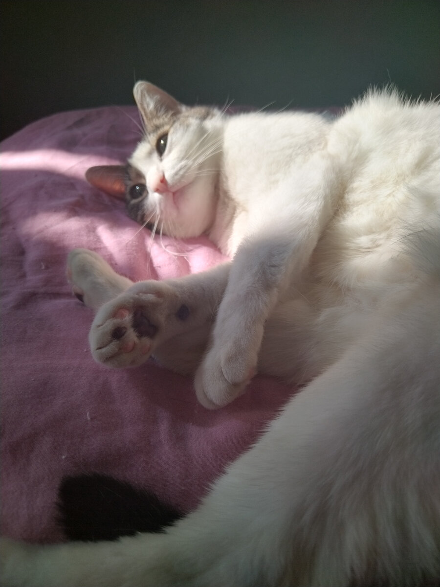 Фото автора 