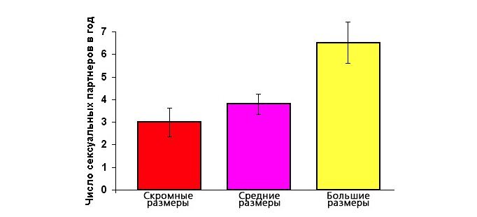 Каким должен быть размер члена?