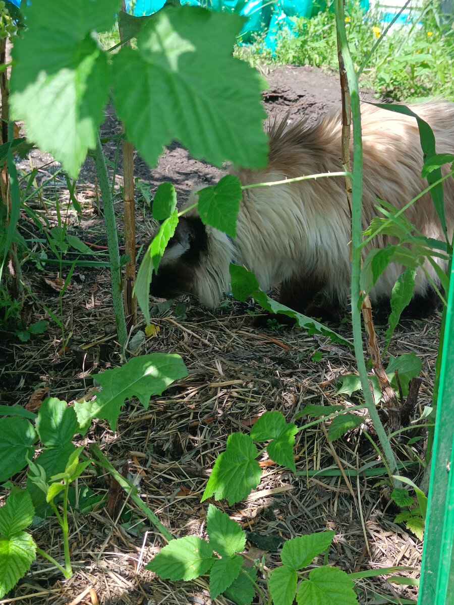Где-то здесь граница была.
