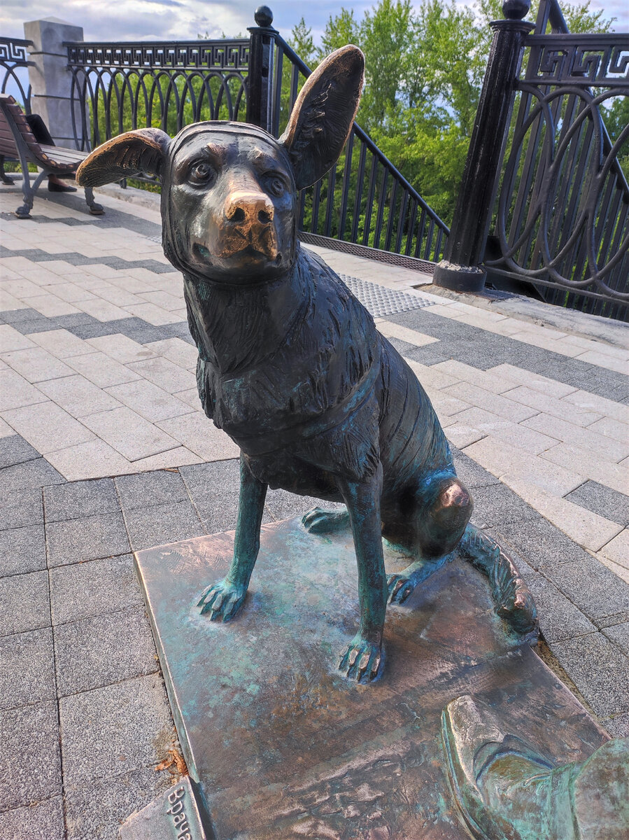 Памятник профессору Преображенскому и Шарику в Нижнем Новгороде. Источник — dzen.ru/pa_myatnik
