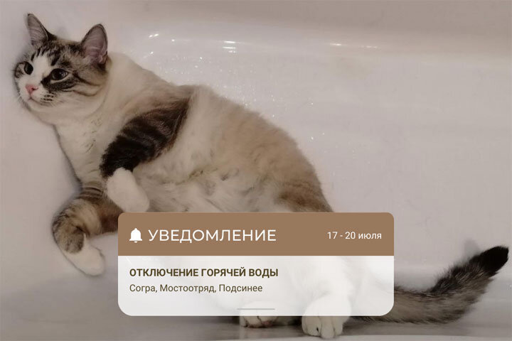 Фото: отдел по связям с общественностью и СМИ администрации Абакана. 