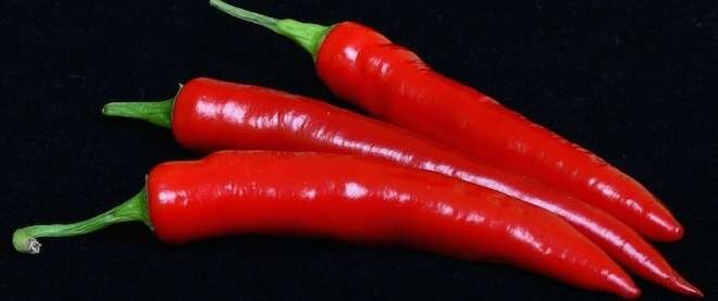 Если выбрать хороший сорт перца горького — щедрый урожай гарантирован 
Источник: https://www.fermeru.pro/perets-gorkiy-sorta.html