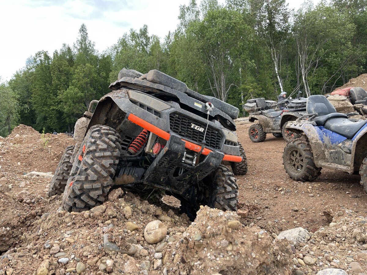 Выше лезешь - дальше падать! Источник фото - Telegramm канал https://t.me/tgbrussia