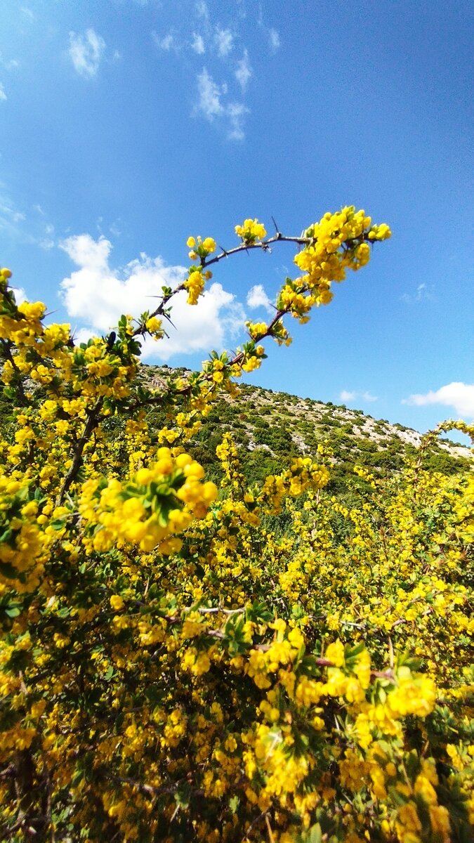 Природа всегда наполняет нас ресурсом. Нужно только слиться с нею сердцем 💛