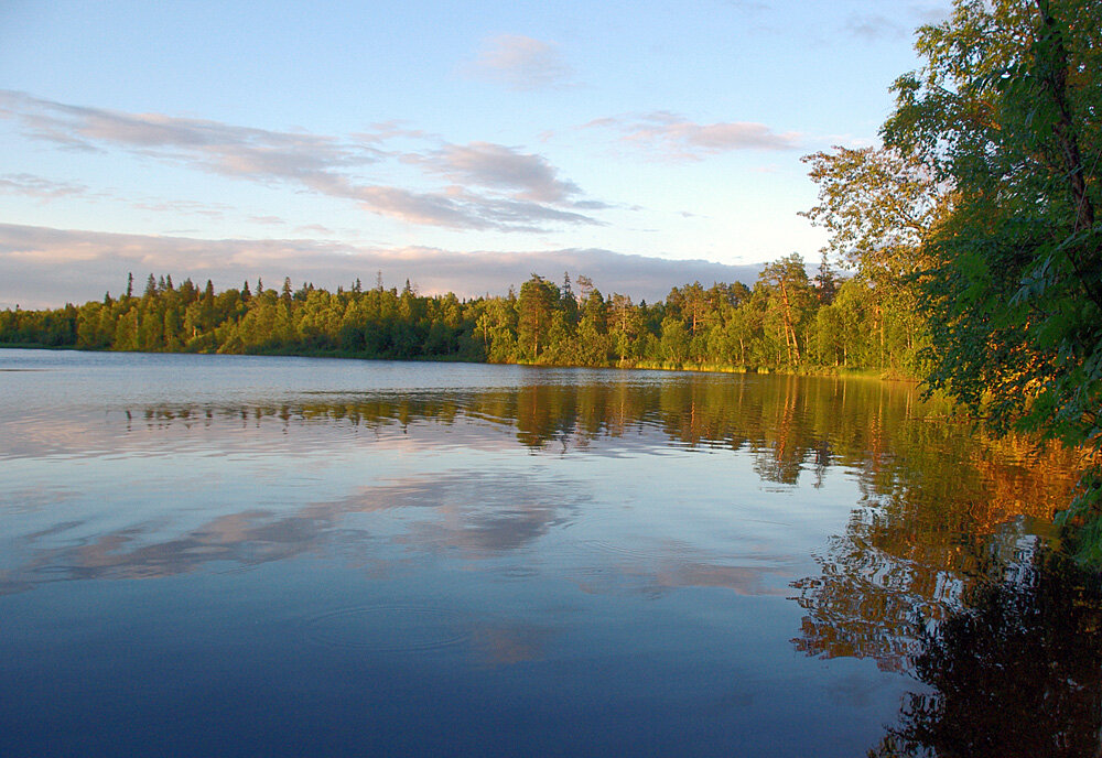 Озеро можно купить. Озеро Сюрзи Архангельская область. Мистические озера России. Арбино озеро. Деревня малые Сюрзи.