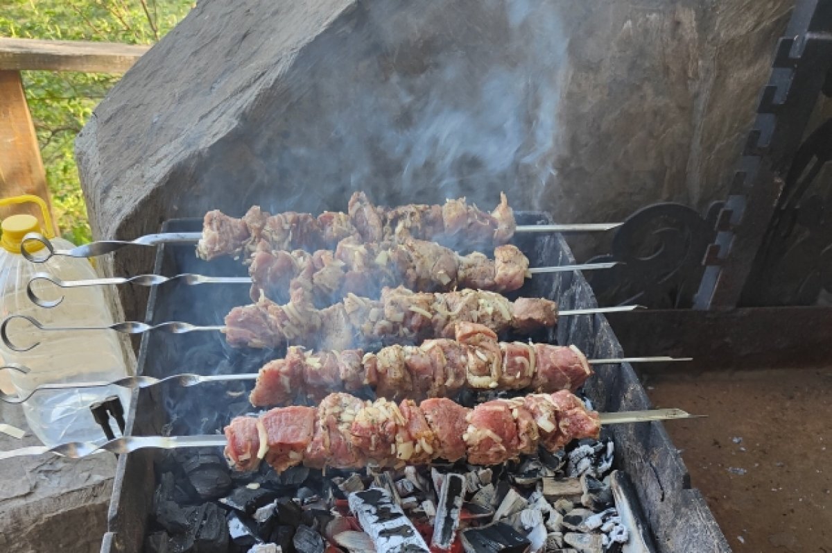    В Томске пройдет мероприятие вкусной еды и соревнования по жарке шашлыка