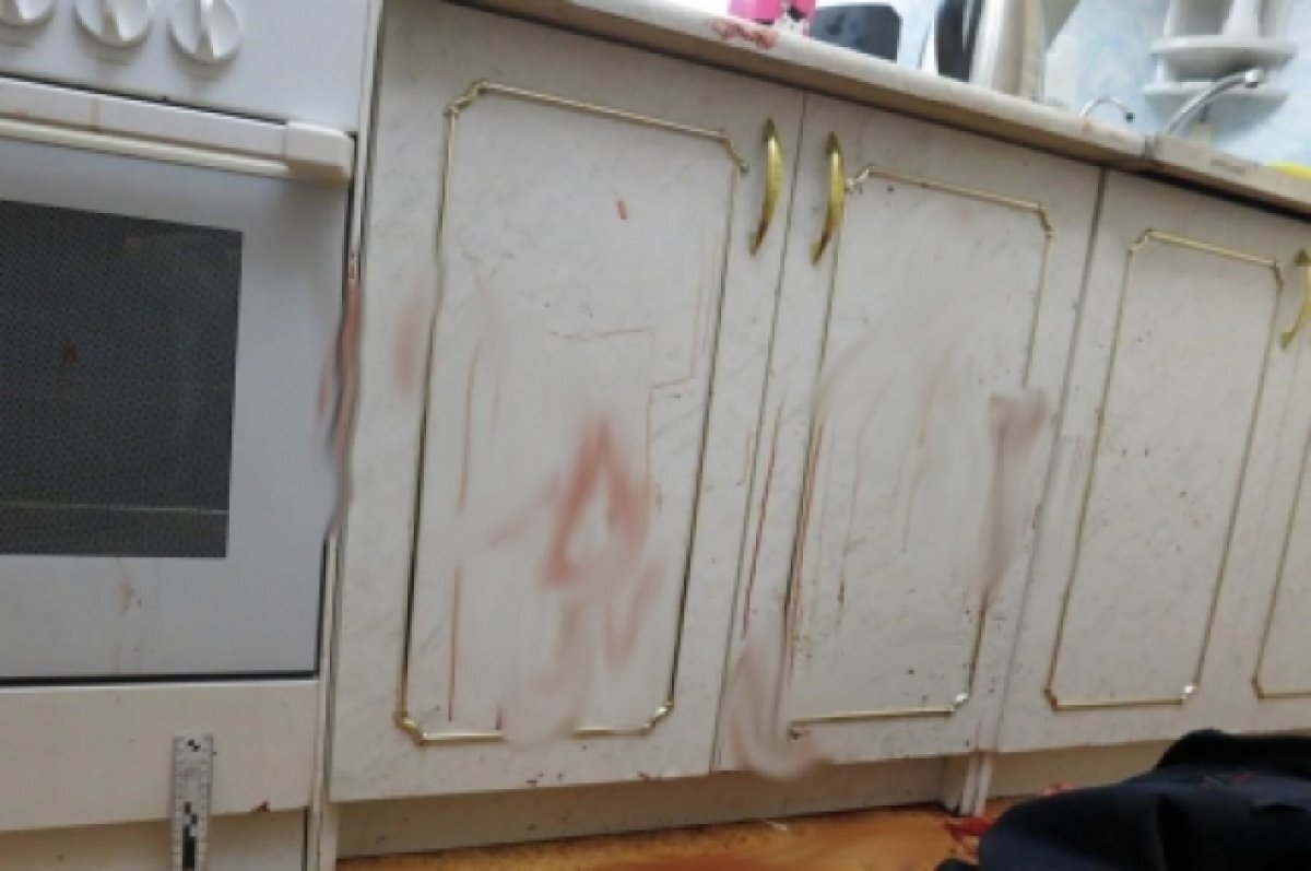    Жителя Мирного осудили на 8,5 лет за убийство брата