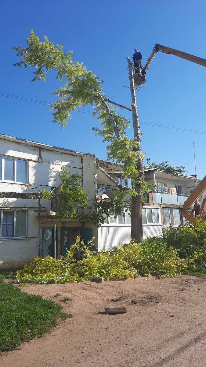 Вот что я вчера увидела после работы..