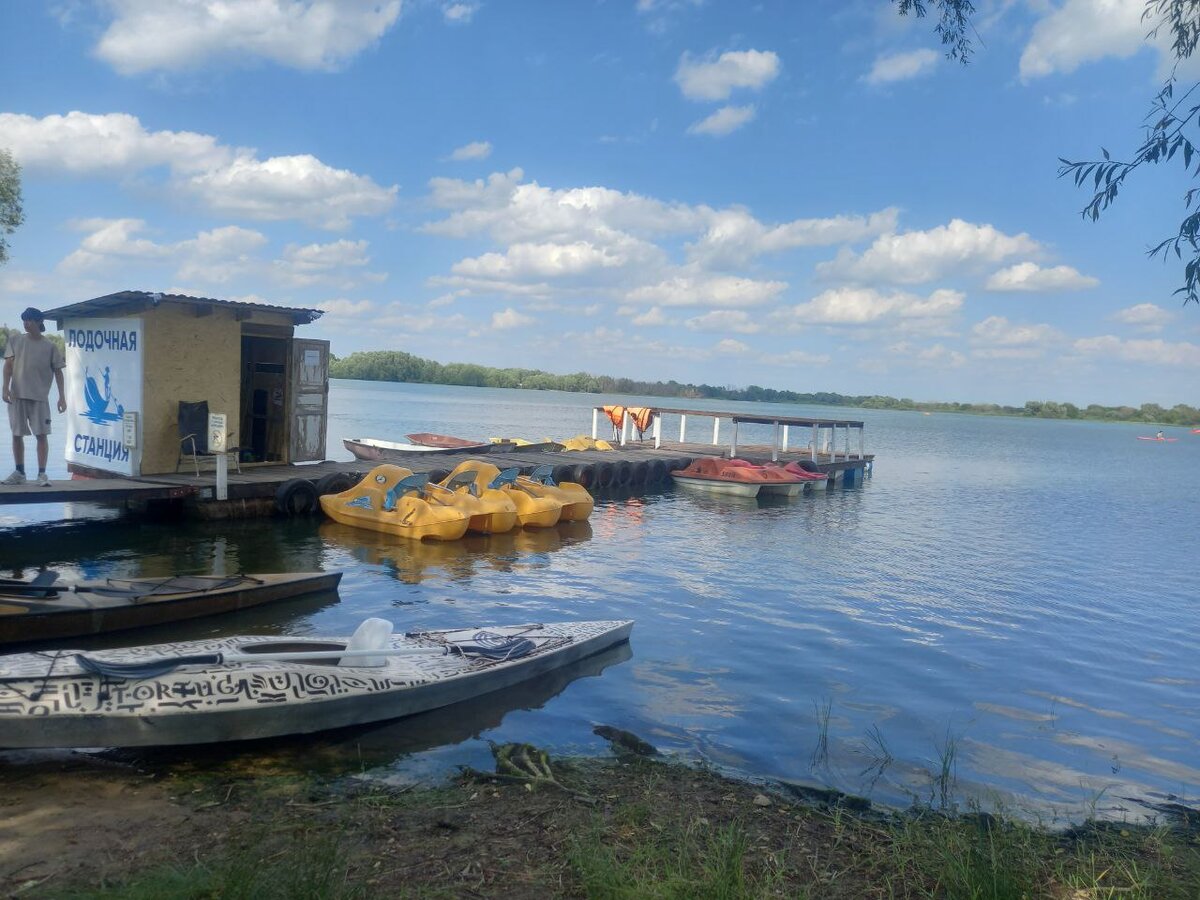 Обзор городских пляжей в Рязани | Новости — РЗН.инфо | Дзен