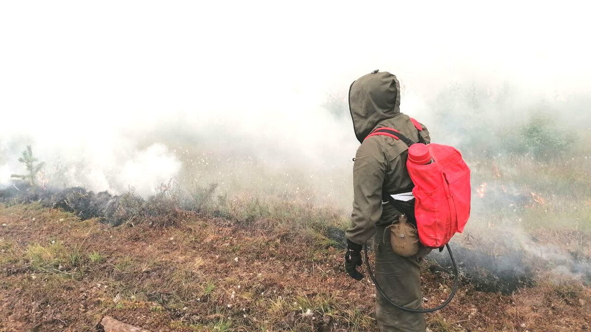 Пожары в хмао сейчас карта