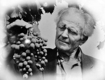 А.И. Потапенко