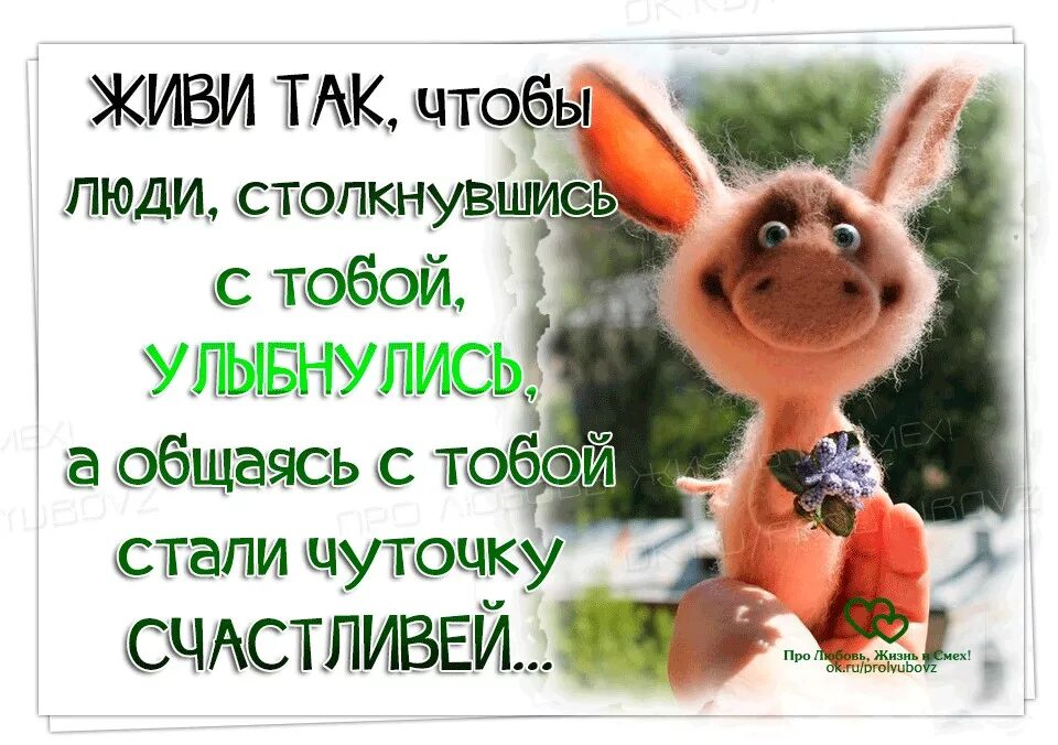Приятно общаться с хорошим. Позитивные высказывания. Афоризмы про настроение. Афоризмы про настроение прикольные. Позитивчик для поднятия настроения.