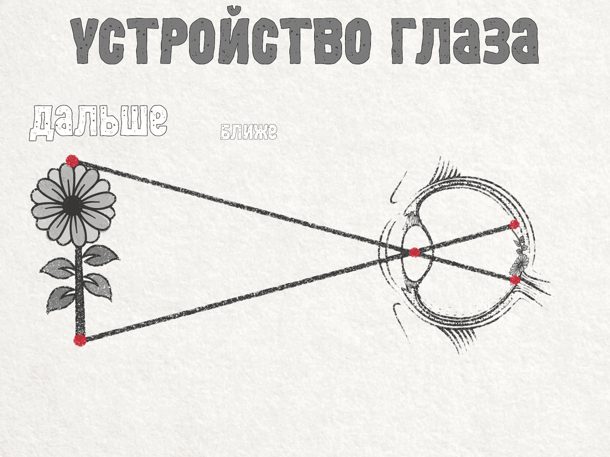 Почему изображение предмета в воде всегда менее ярко чем сам предмет на границе сред воздух