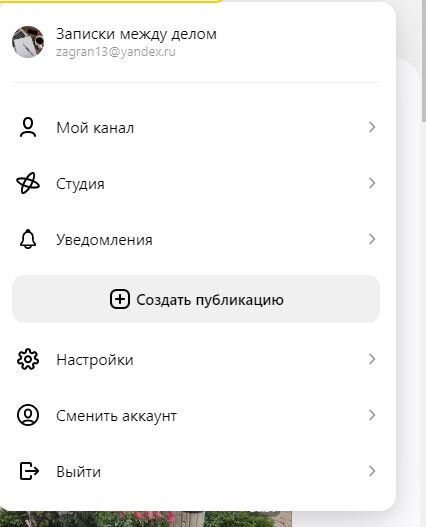 Скриншот канала автора