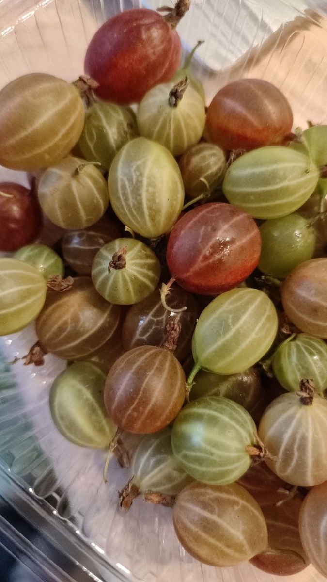 Кислятина жуткая -- прям как я и хотела!