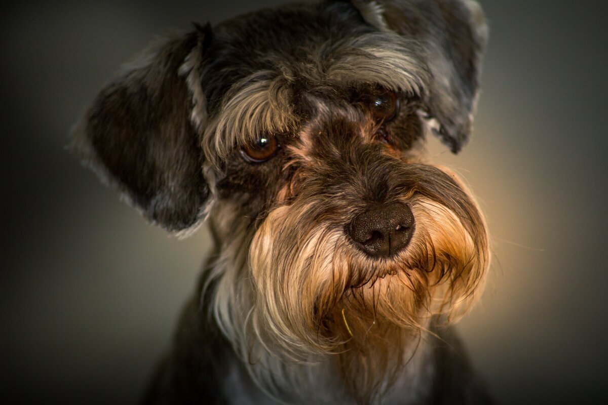 Фото из свободного доступа сети Интернет