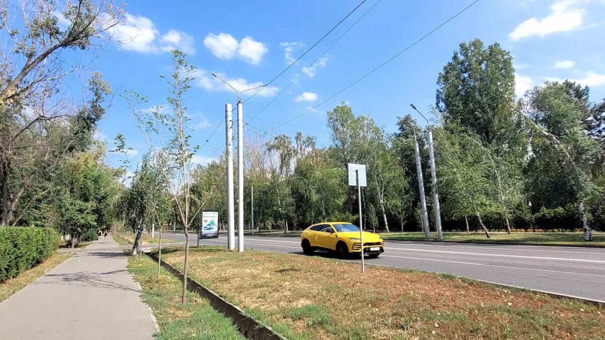    Фото: Unsplash Август Макаров