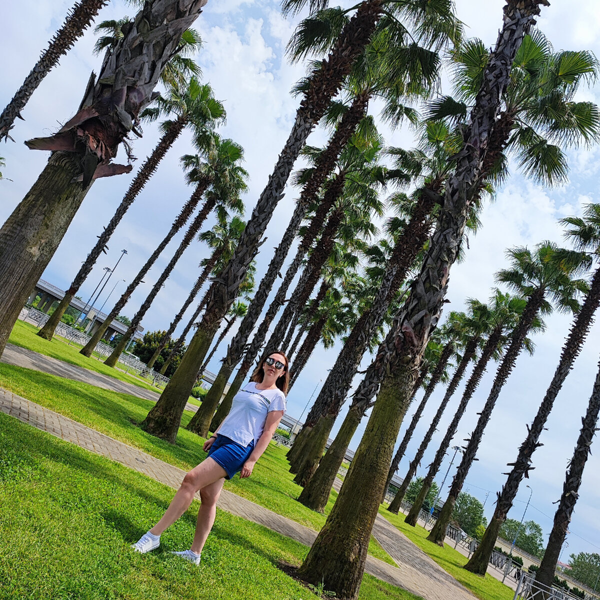 Аллея пальм