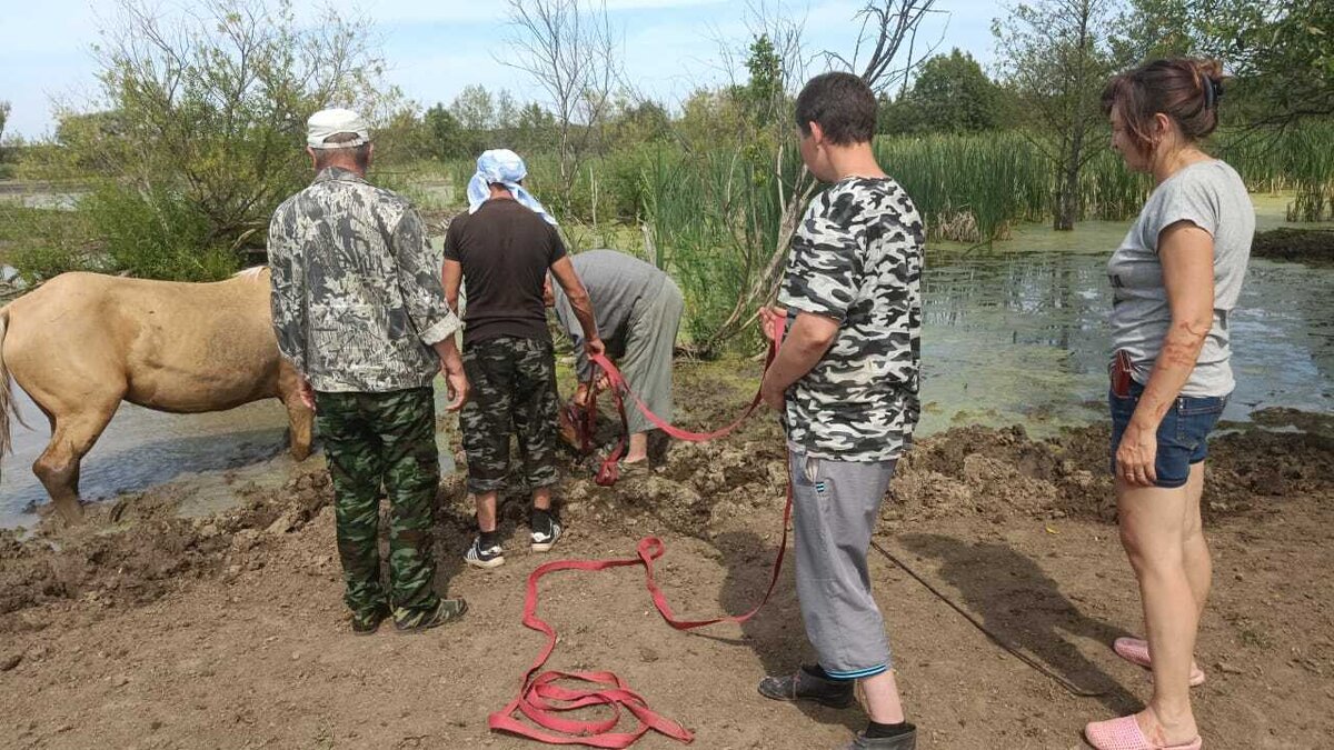 Мир не без добрых людей. Своими поступками, простыми действиями они спасают  порой чью-то жизнь Трогательная  история произошла в Липовском СП. Жительница с.-2-3