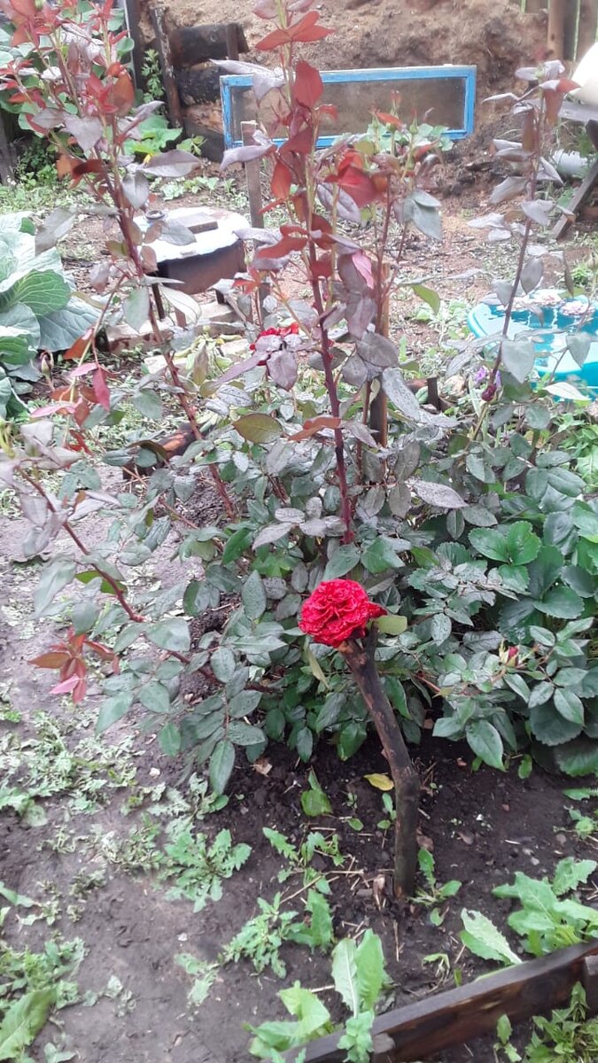 Как тут и было!