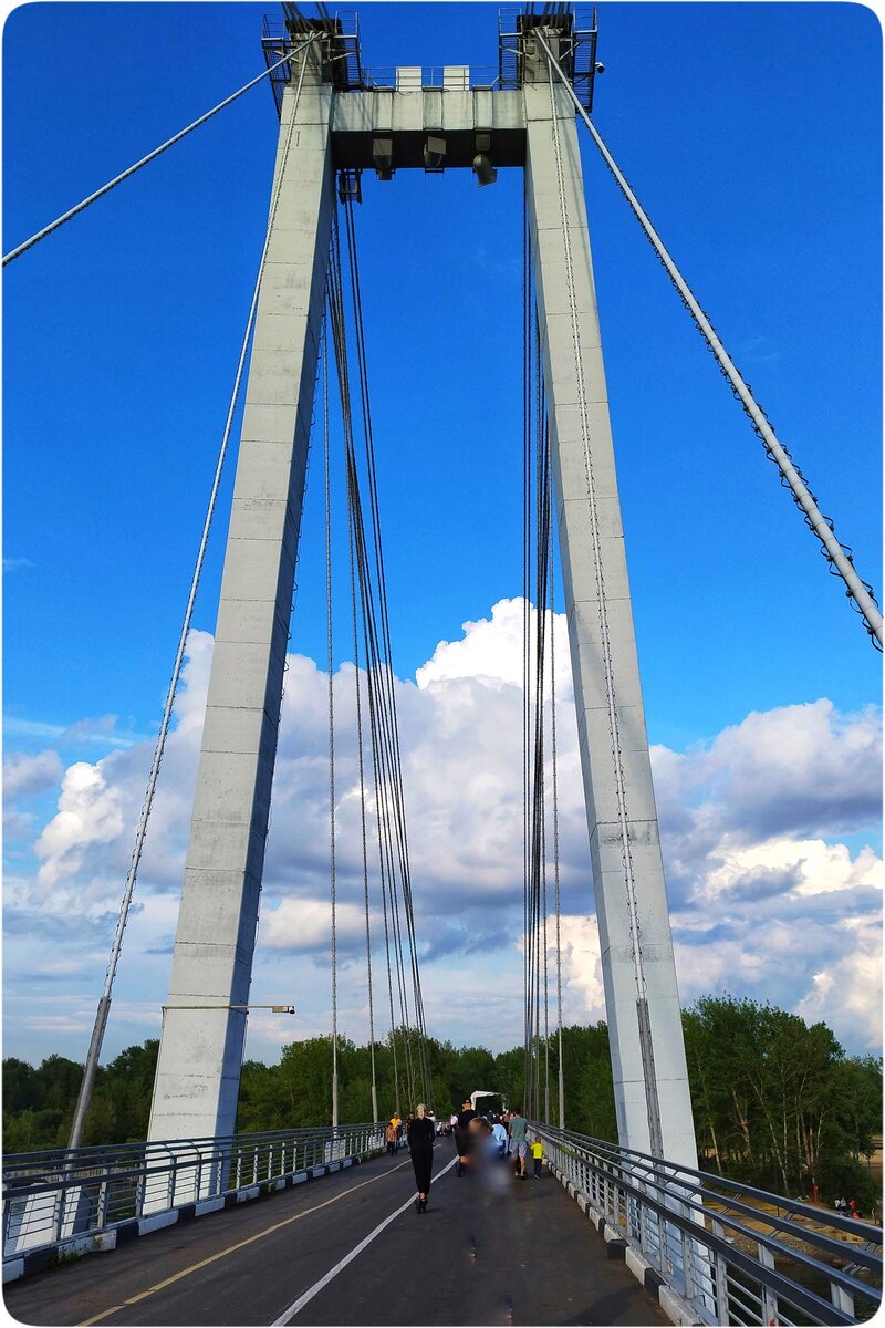 Виноградовский мост в Красноярске