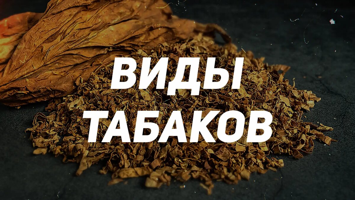 Мостабак тула. Листья табака. Лист табака махорка. Ореховый табак для кальяна. Deus табак для кальяна.