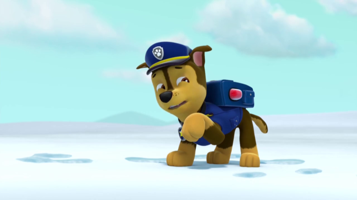 Щенячий патруль спасает гонщика. Чейз гонщик Щенячий. Paw Patrol гонщик. Гонщик зик Щенячий патруль. Суперпатруль. Щенячий патруль.