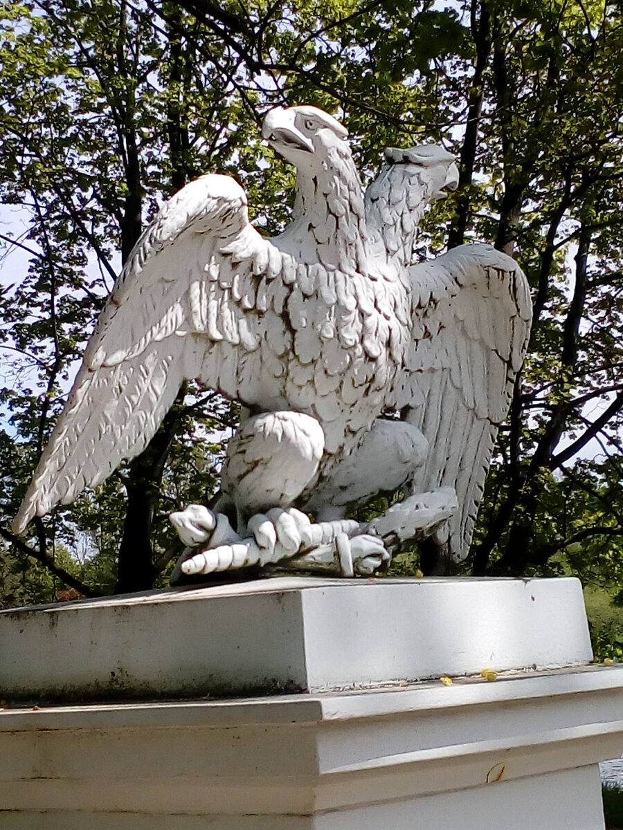 Из личного архива