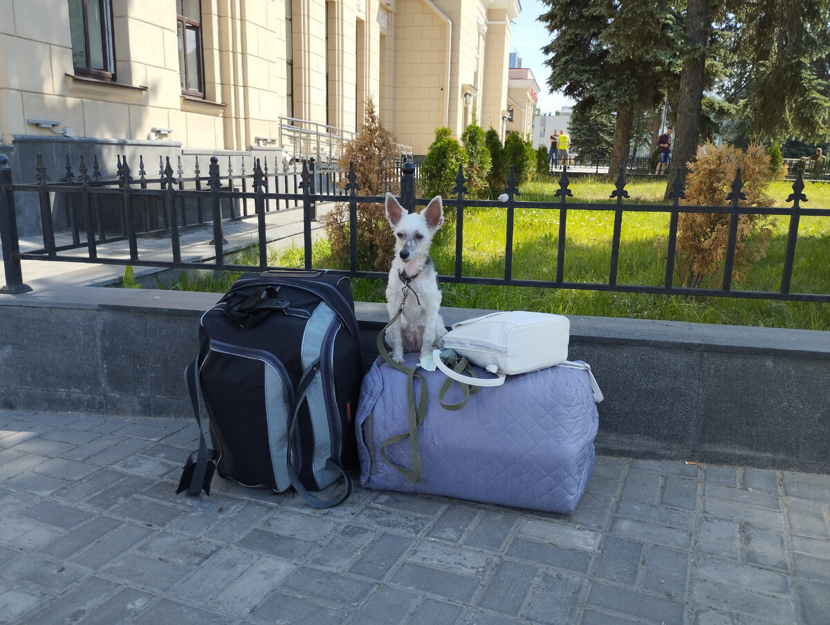 А мы с Эфой опять в пути. Возвращаюсь к ведению канала. Интересных статей и рассказов будет больше, обещаю! 