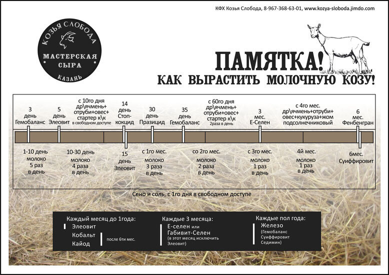 Ссылка на сайт исходник - https://kozya-sloboda.jimdofree.com/козлята/