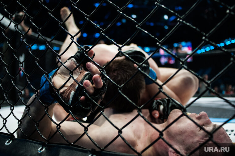    Роман Можельский хочет организовать бой на фоне информационного шума