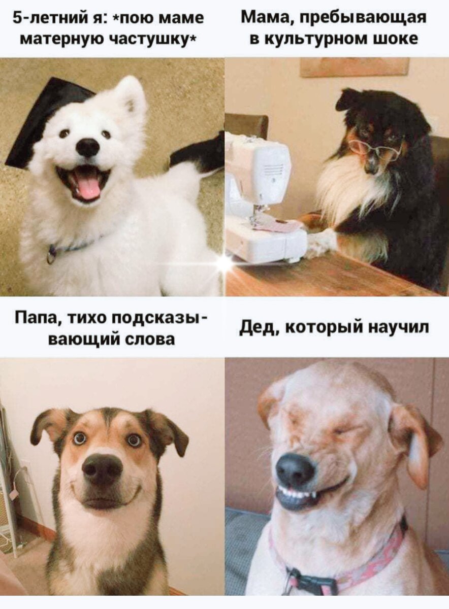 Из интернета. Фото в обработке автора. 