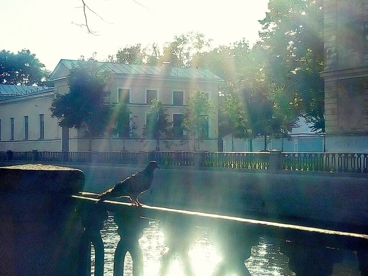 Фото автора