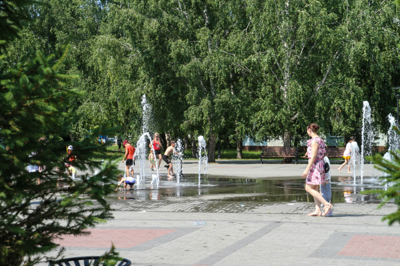 Жара городская ул 32 сафоново фото