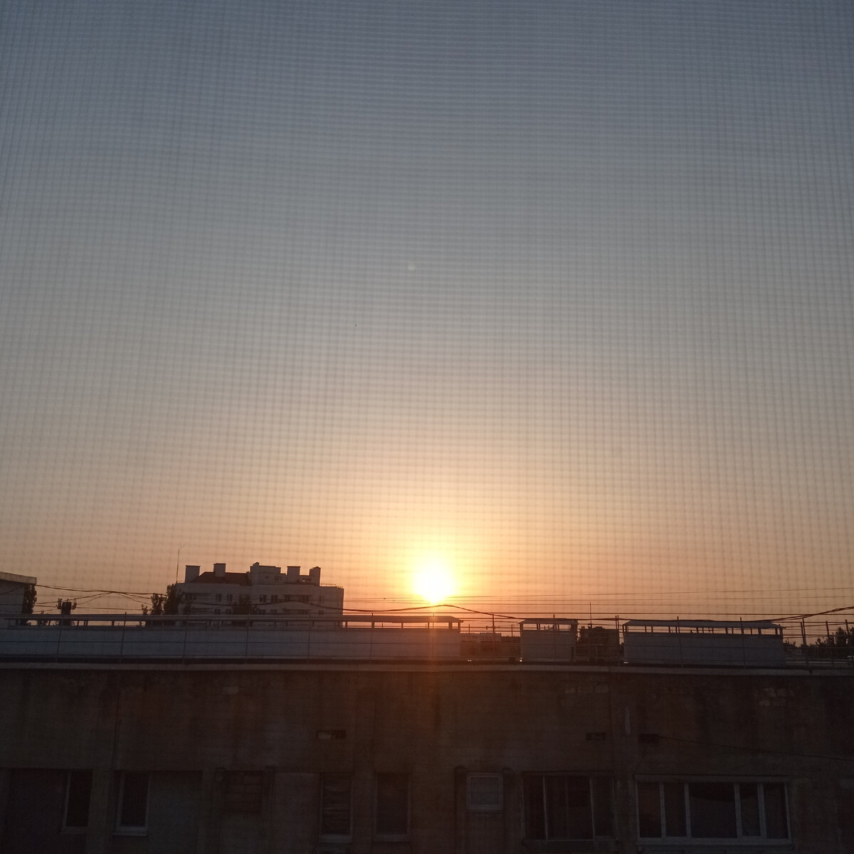 Сегодня 