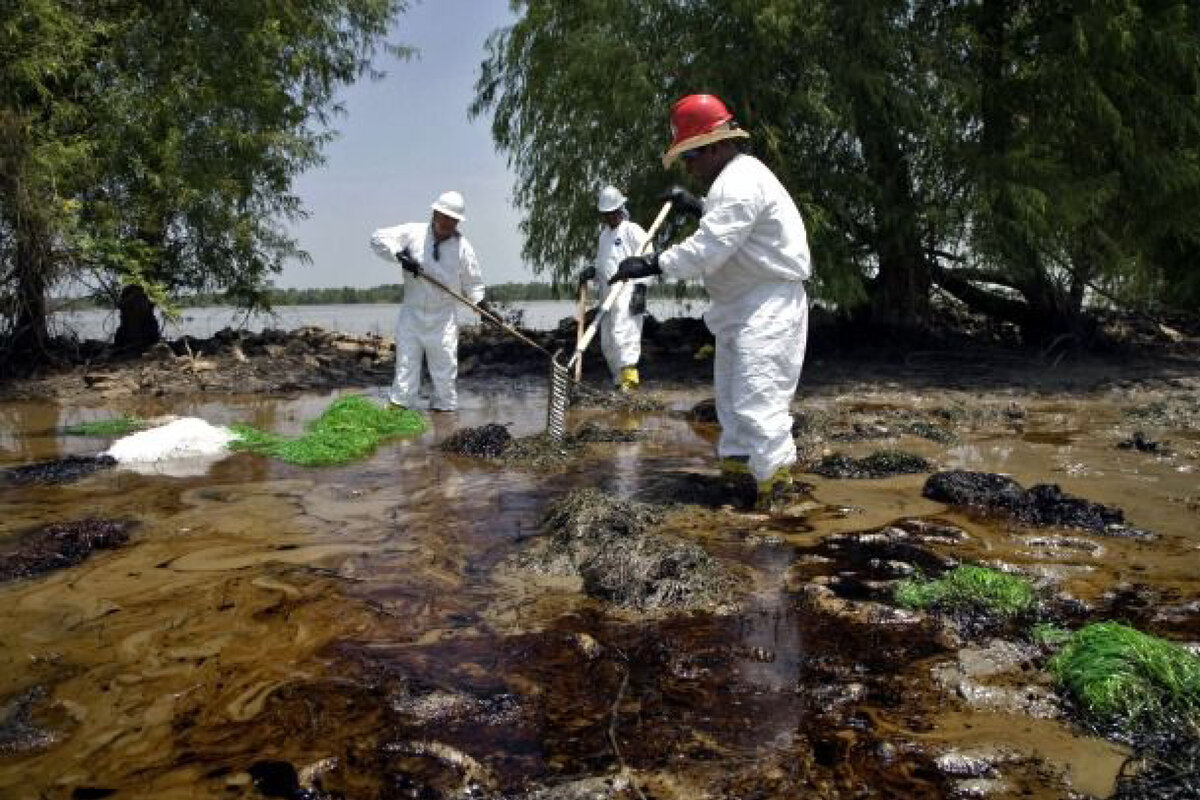 Картинки с загрязнением воды