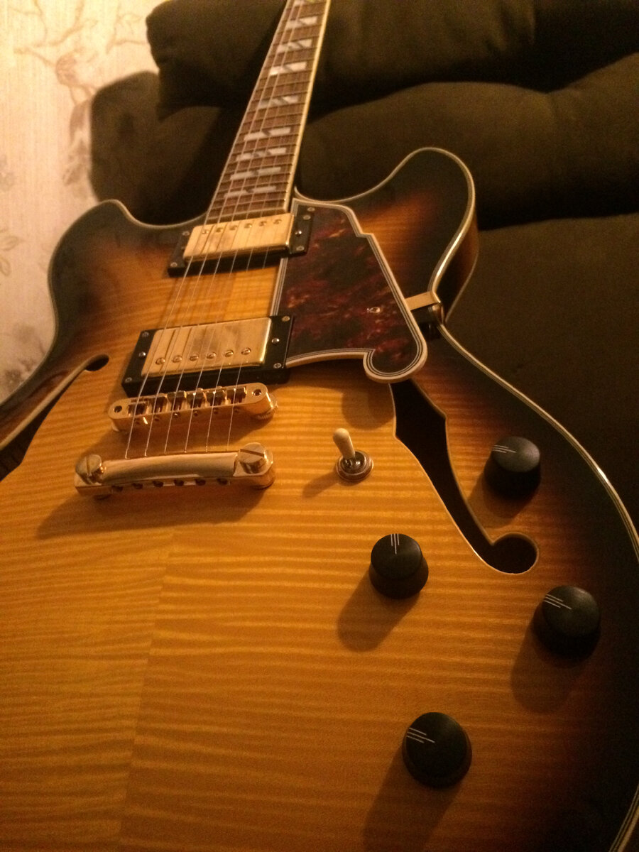 D'Angelico Excel DC