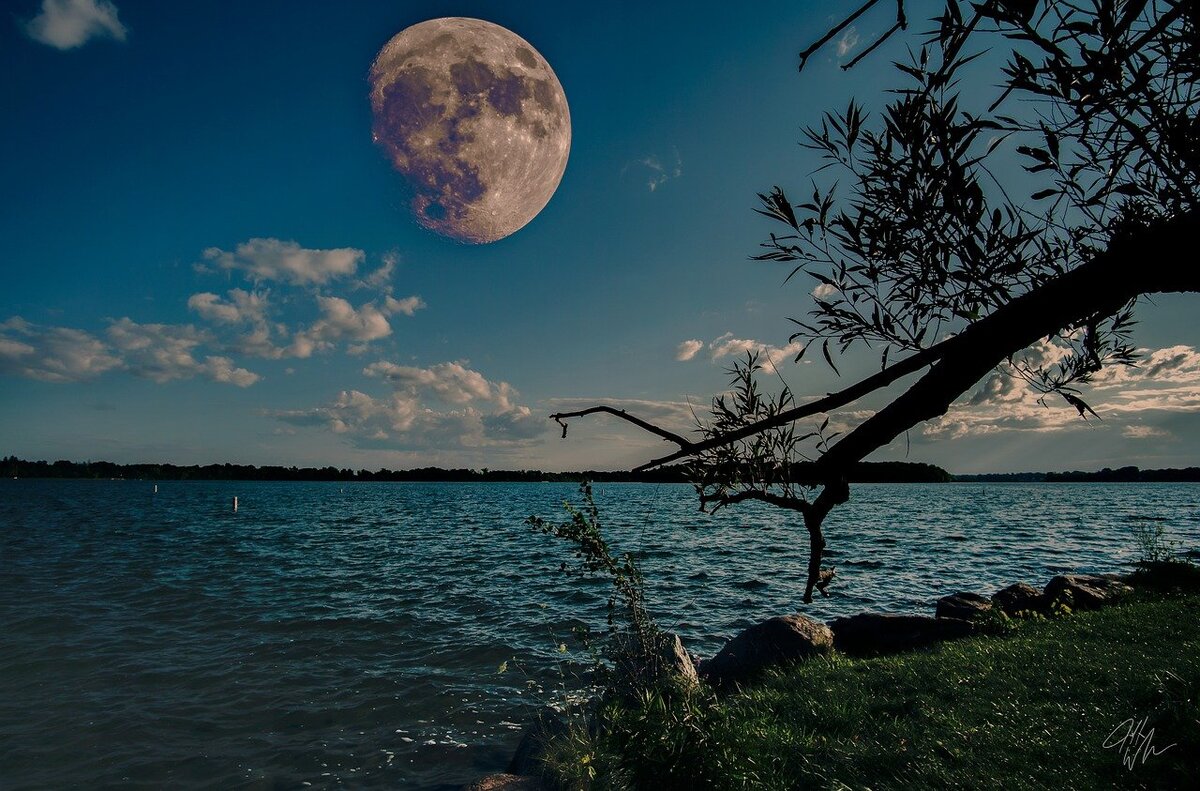 Автор и правообладатель данного изображения: https://funart.pro/70875-serp-luny-59-foto.html