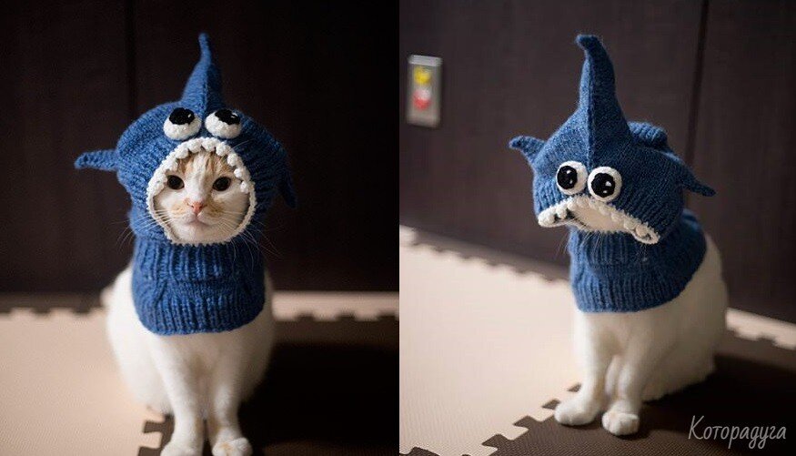 Источник: pinterest.com