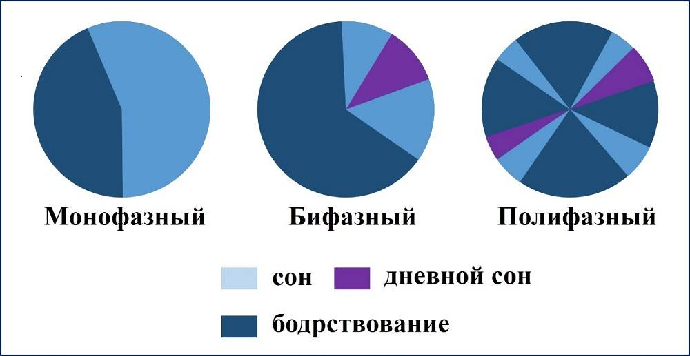 Сколько спал черчилль. Димаксион режим сна. Монофазный и полифазный сон. Разные графики сна. Режимы полифазного сна.