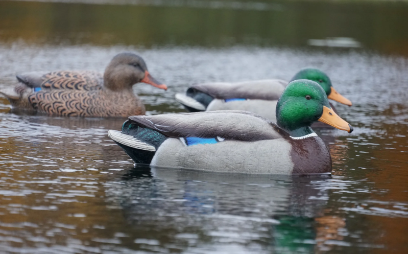 Чучела уток для охоты