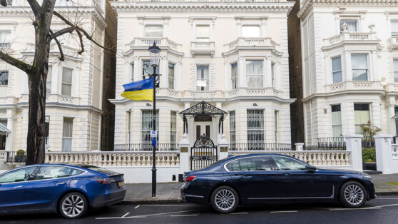    Посла Украины в Великобритании уволили после критики Зеленского Алина Городниченко