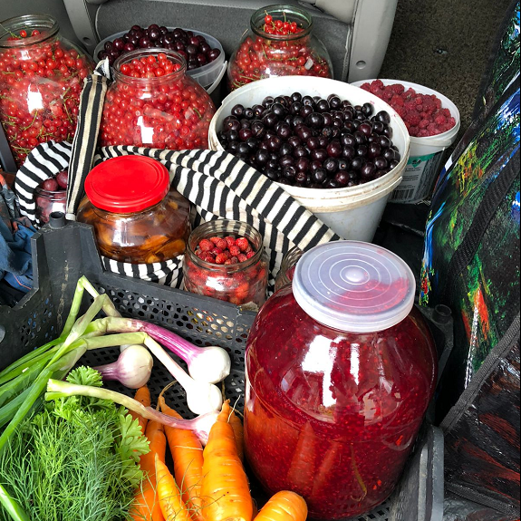 Добыча ягодного десанта. Фото автора