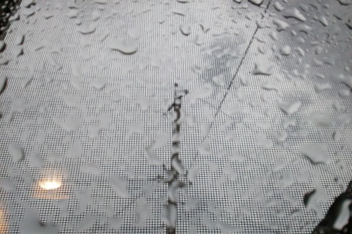    В Оренбуржье возможны дожди