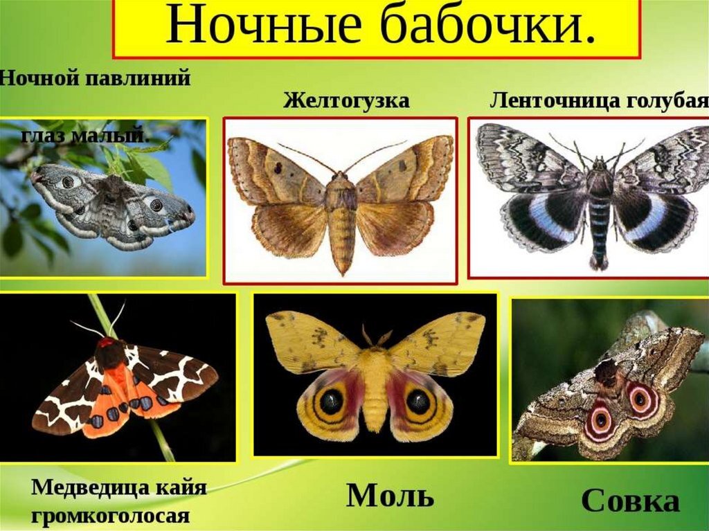 Из открытых источников