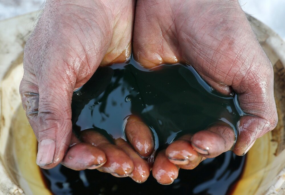 Фото: REUTERS/Vasily Fedosenko
